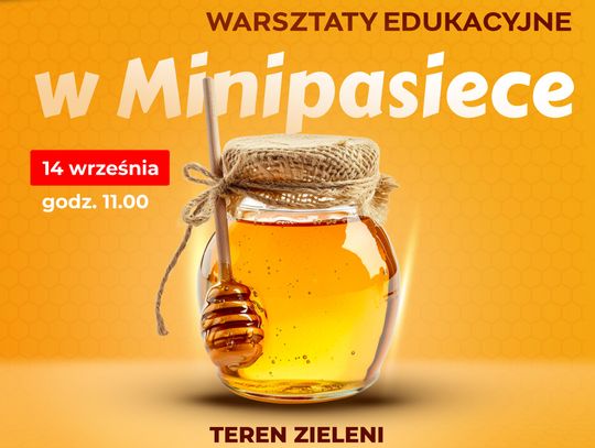 Ciekawe warsztaty edukacyjne