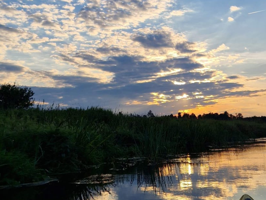 Liwiec i Świder - dwie mazowieckie rzeki na rodzinny spływ kajakowy