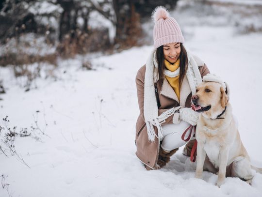 Mróz do −20°C. Jak chronić psy i koty przed wychłodzeniem? Mróz do −20°C. Jak chronić psy i koty przed wychłodzeniem?