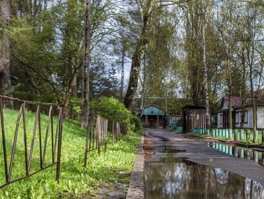 Skąd się wzięło drewno w domkach na Osiedlu "Przyjaźń".