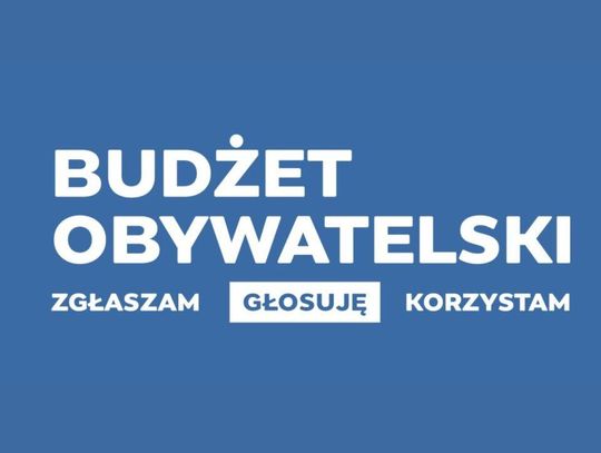 Więcej zieleni, nowe miejsca aktywności i bezpieczne osiedla. Mieszkańcy zgłosili projekty do Budżetu Obywatelskiego