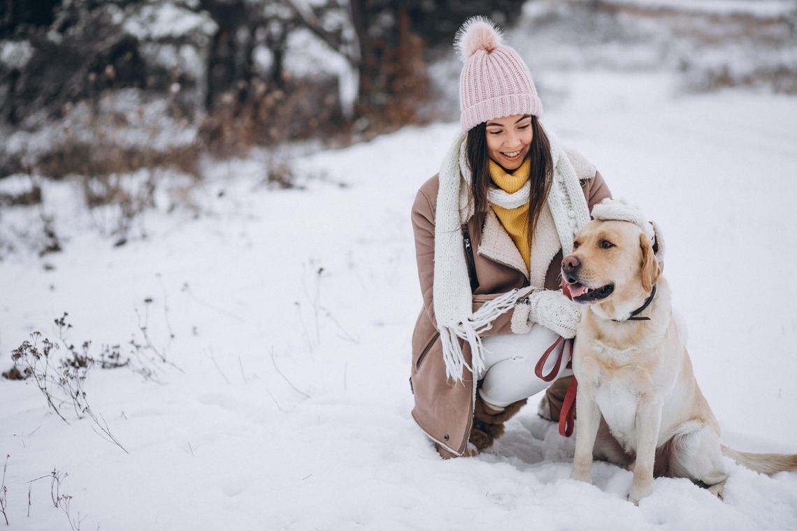 Mróz do −20°C. Jak chronić psy i koty przed wychłodzeniem? Mróz do −20°C. Jak chronić psy i koty przed wychłodzeniem?