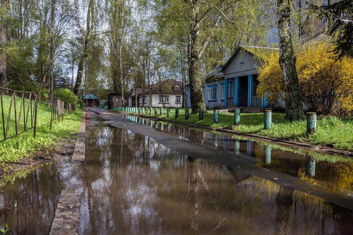 Skąd się wzięło drewno w domkach na Osiedlu "Przyjaźń".